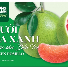 BƯỞI DA XANH ĐỒNG XANH FARM  - ĐẶC SẢN BẾN TRE - TIÊU CHUẨN XUẤT KHẨU