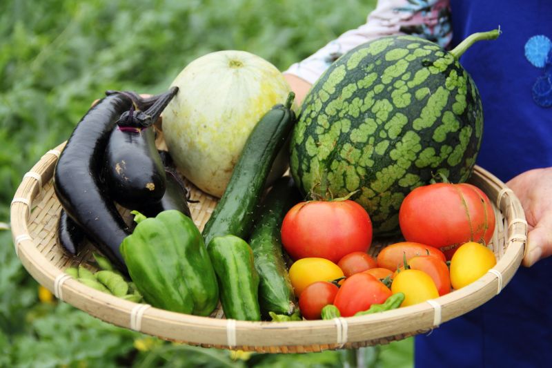 Thực phẩm hữu cơ Organic là gì Có thực sự tốt cho sức khỏe   Organica