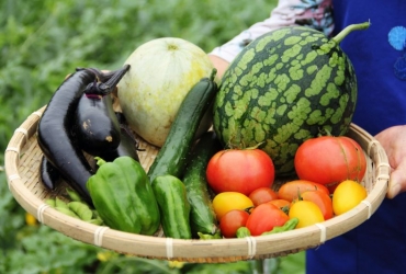 Thực phẩm hữu cơ - Organic Food là gì?